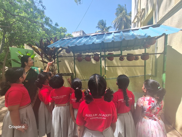 Environment Day